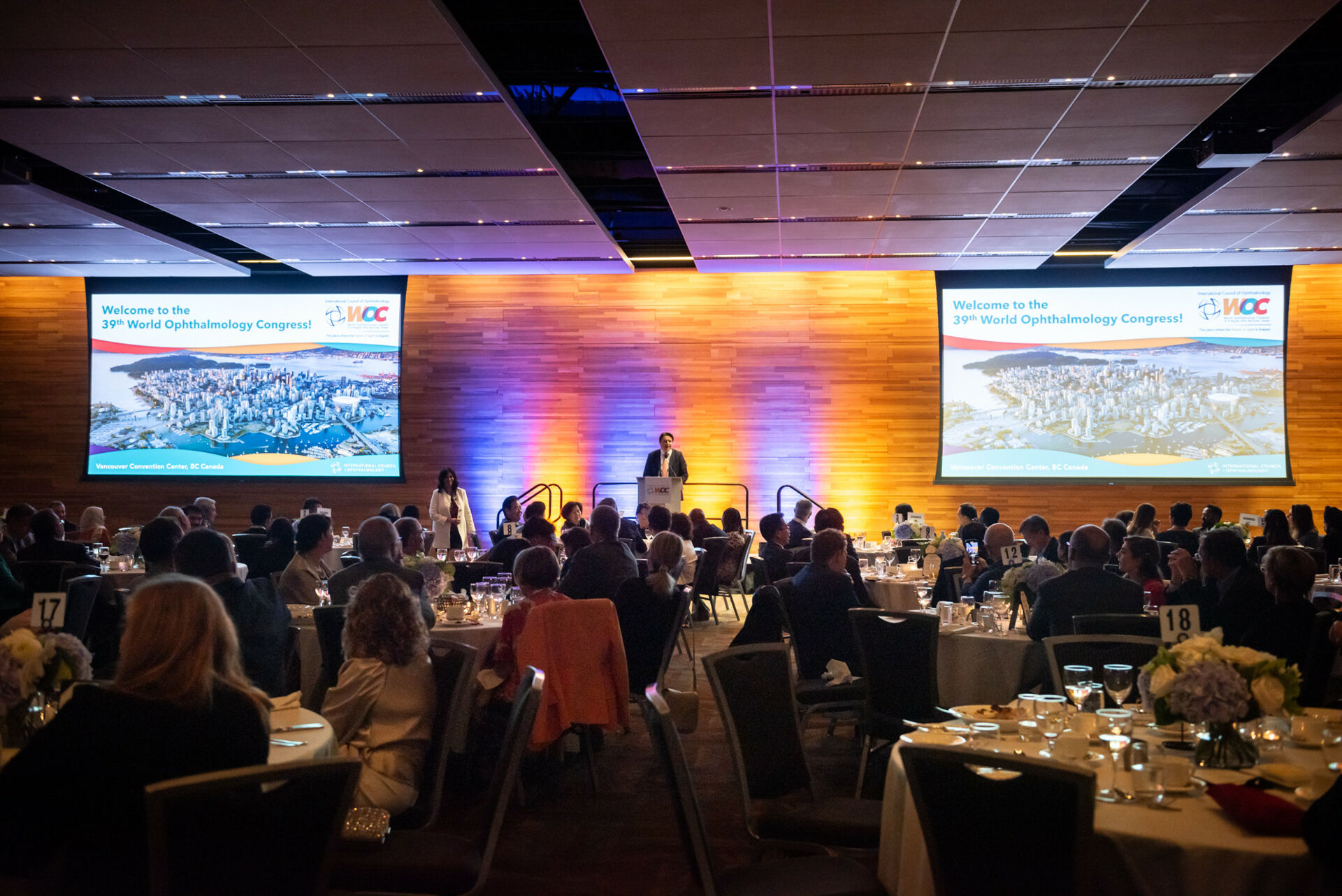 54022656723_5a60e21e64_k 54022656723_5a60e21e64_k