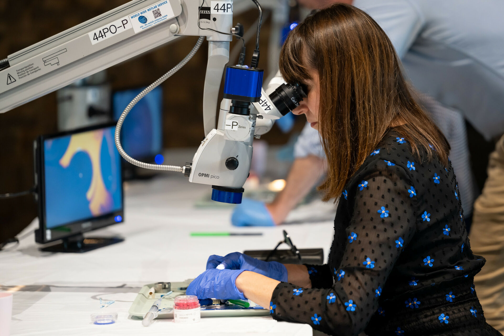 54023184433_d5db9d1a14_k 54023184433_d5db9d1a14_k